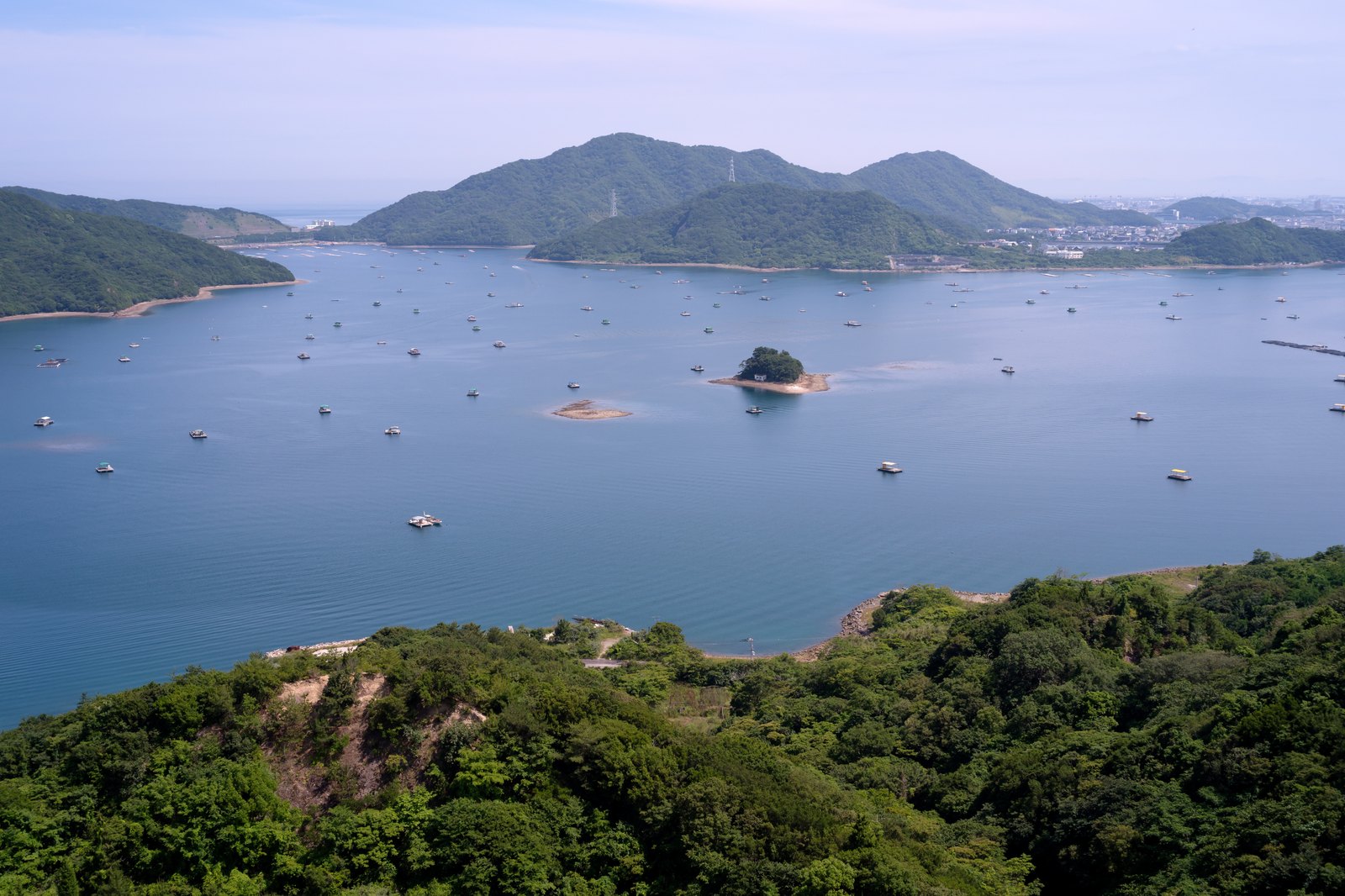 スカイラインから望む海