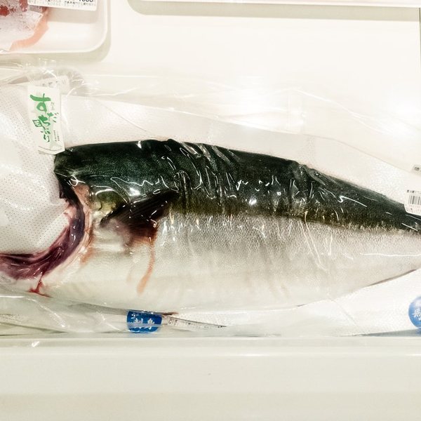 徳島県産すだち若ぶりの一尾