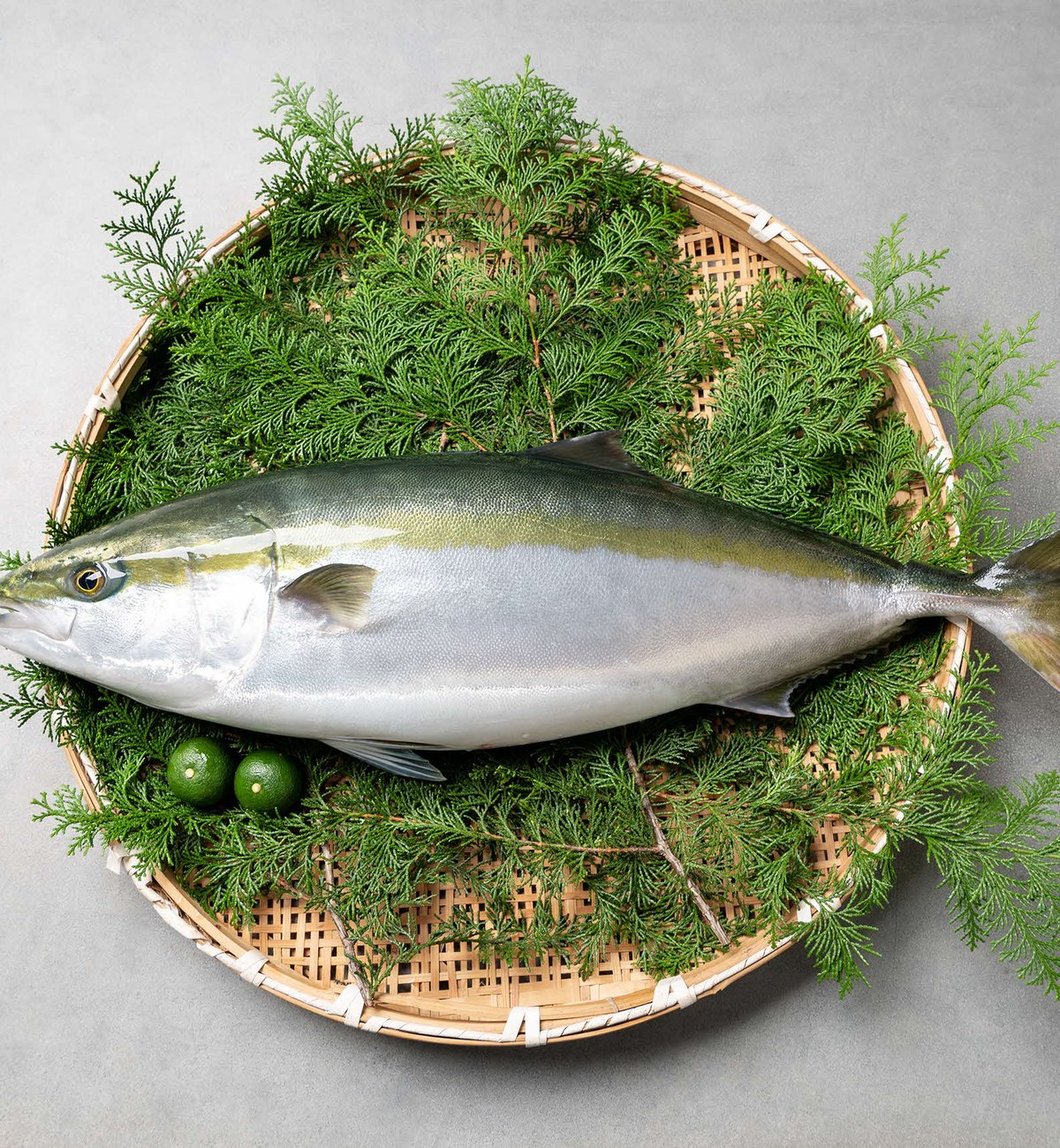ざるに盛られた夏季限定の徳島すだちぶり「若」