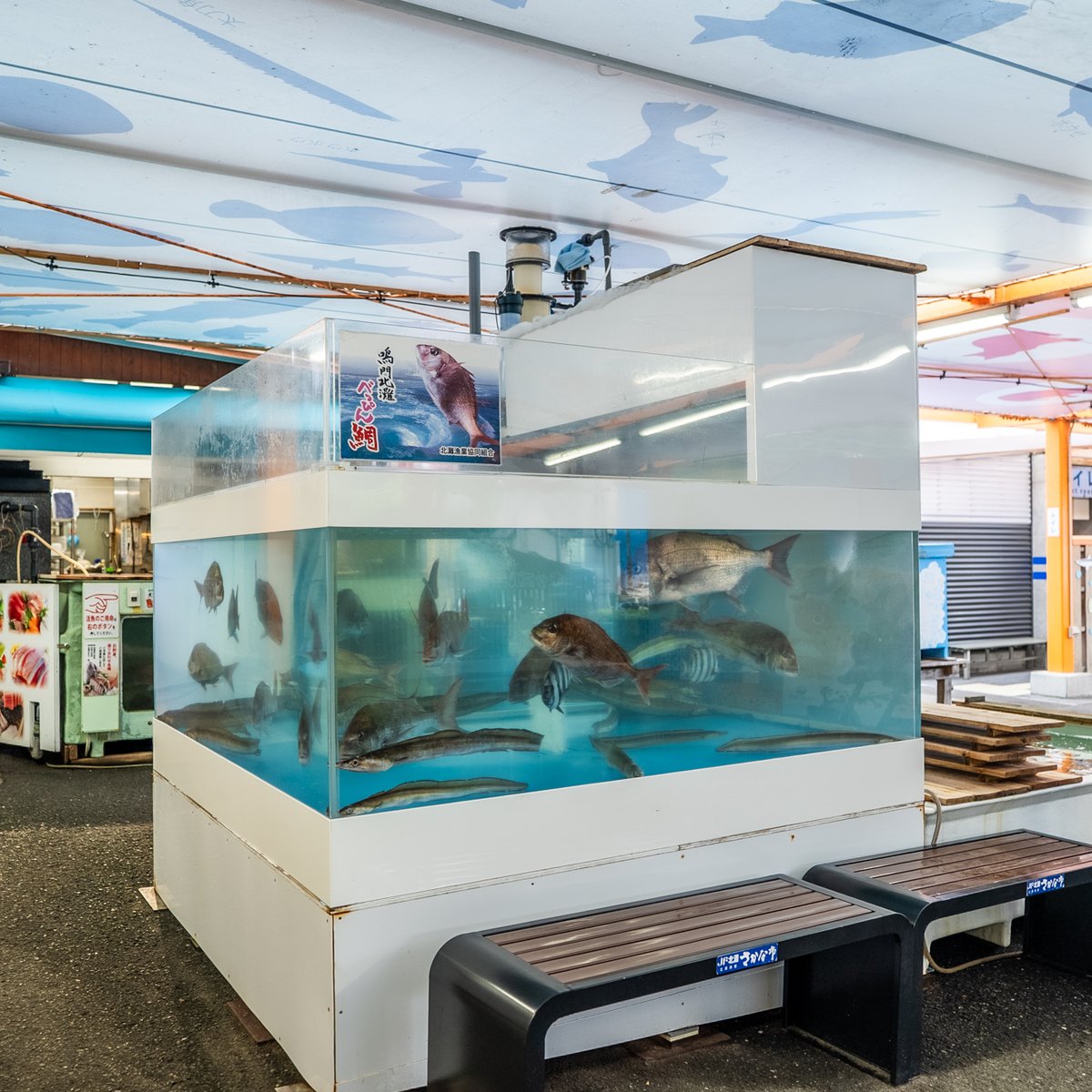 店内の活魚水槽を泳ぐ魚